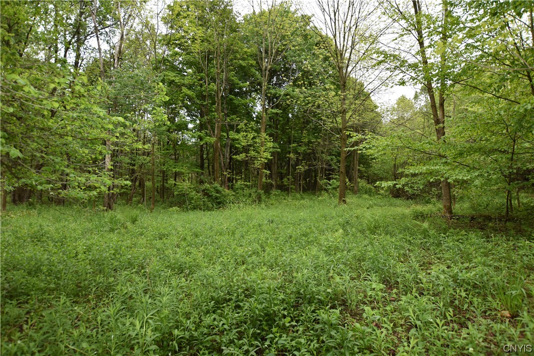 Undisclosed Address Lorraine, NY 13659 - Photo 23 of 31