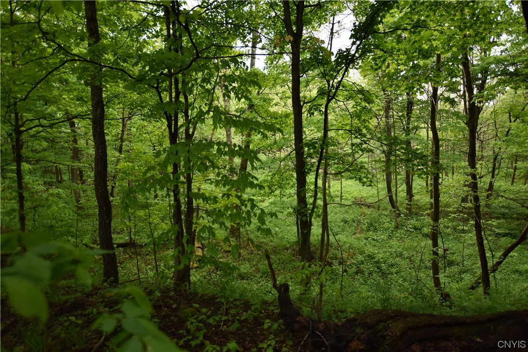 Undisclosed Address Lorraine, NY 13659 - Photo 24 of 31