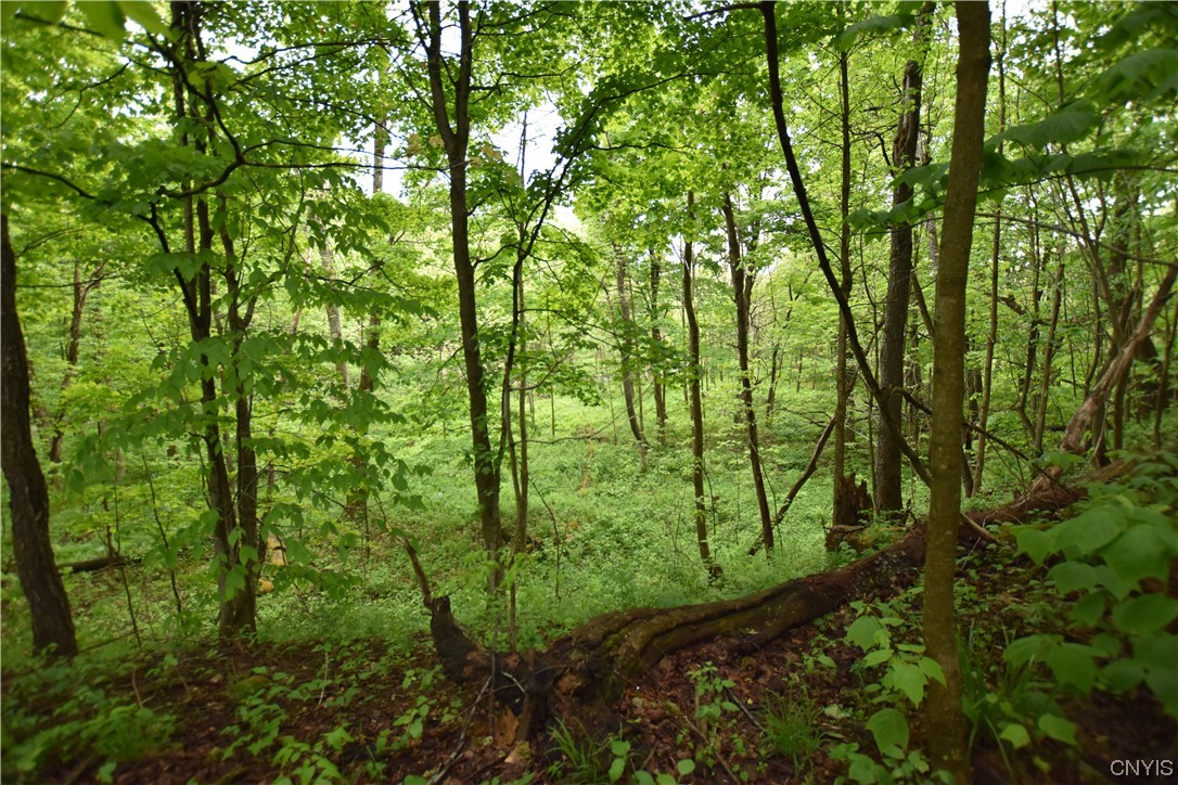 Undisclosed Address Lorraine, NY 13659 - Photo 25 of 31