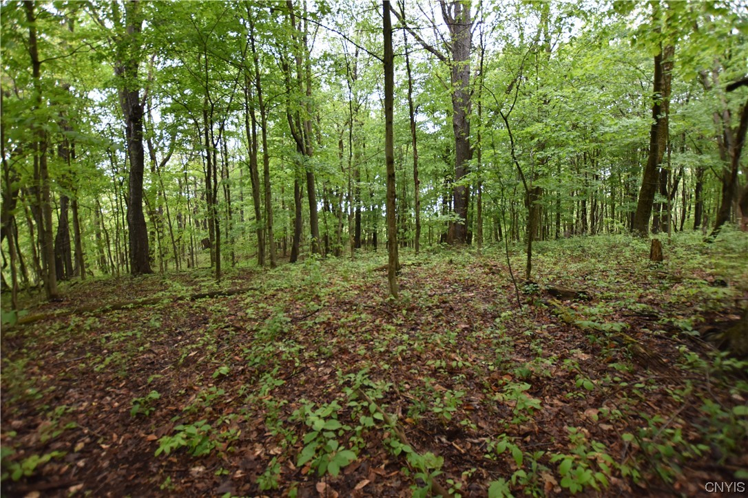 Undisclosed Address Lorraine, NY 13659 - Photo 26 of 31