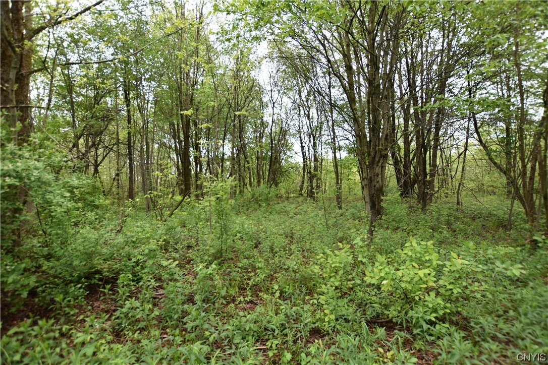 Undisclosed Address Lorraine, NY 13659 - Photo 27 of 31