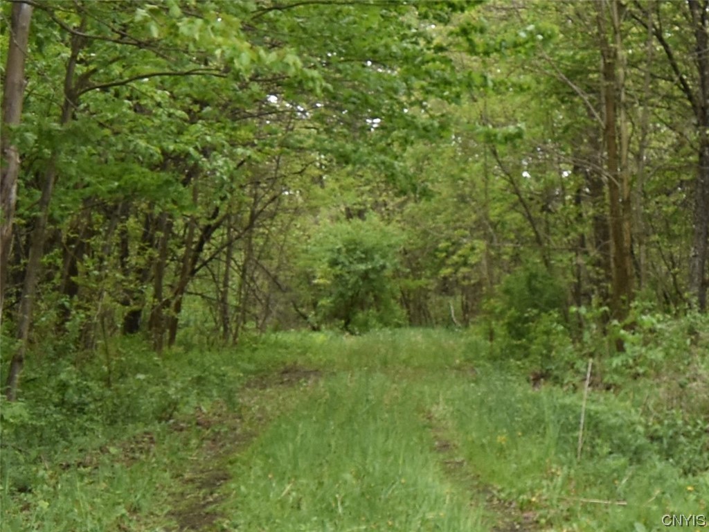 Undisclosed Address Lorraine, NY 13659 - Photo 29 of 31