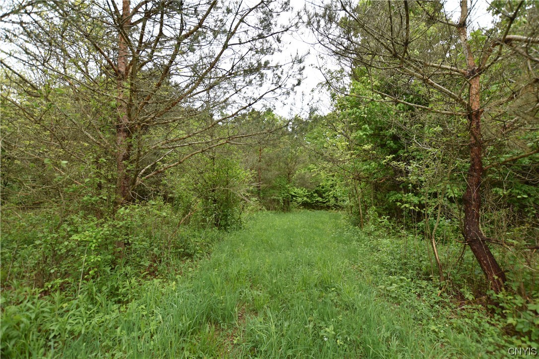 Undisclosed Address Lorraine, NY 13659 - Photo 3 of 31