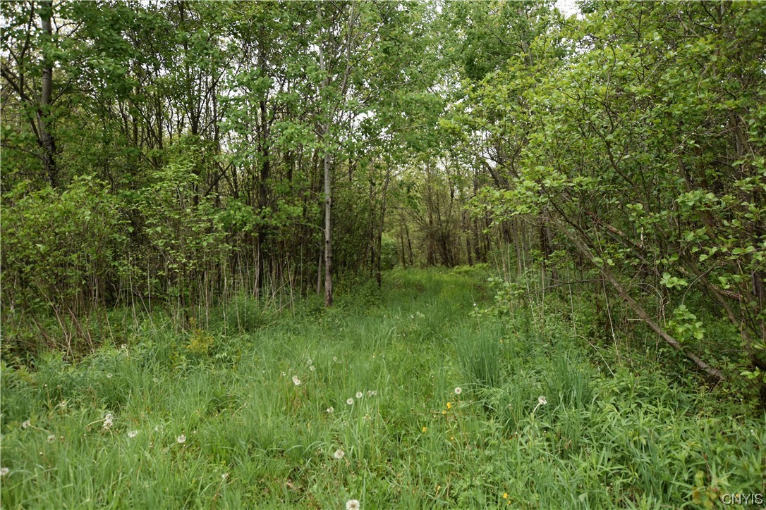 Undisclosed Address Lorraine, NY 13659 - Photo 4 of 31