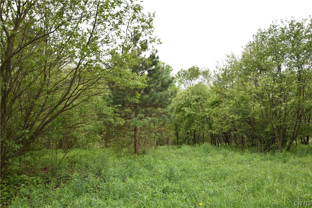 Undisclosed Address Lorraine, NY 13659 - Photo 5 of 31