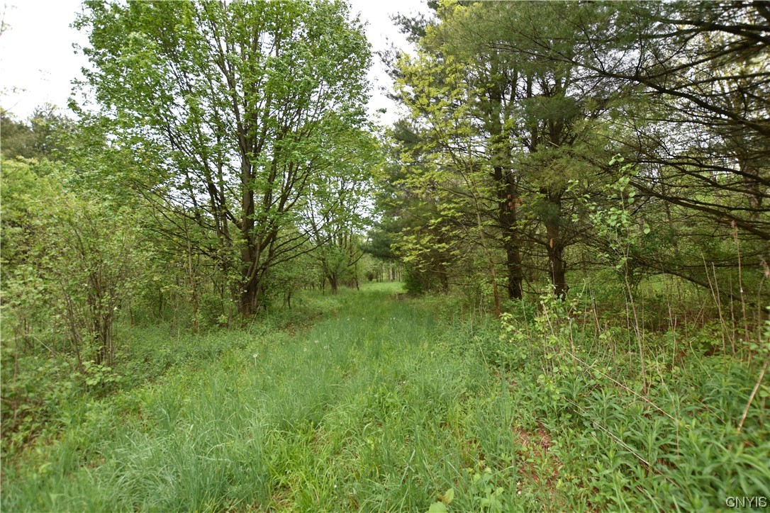 Undisclosed Address Lorraine, NY 13659 - Photo 6 of 31