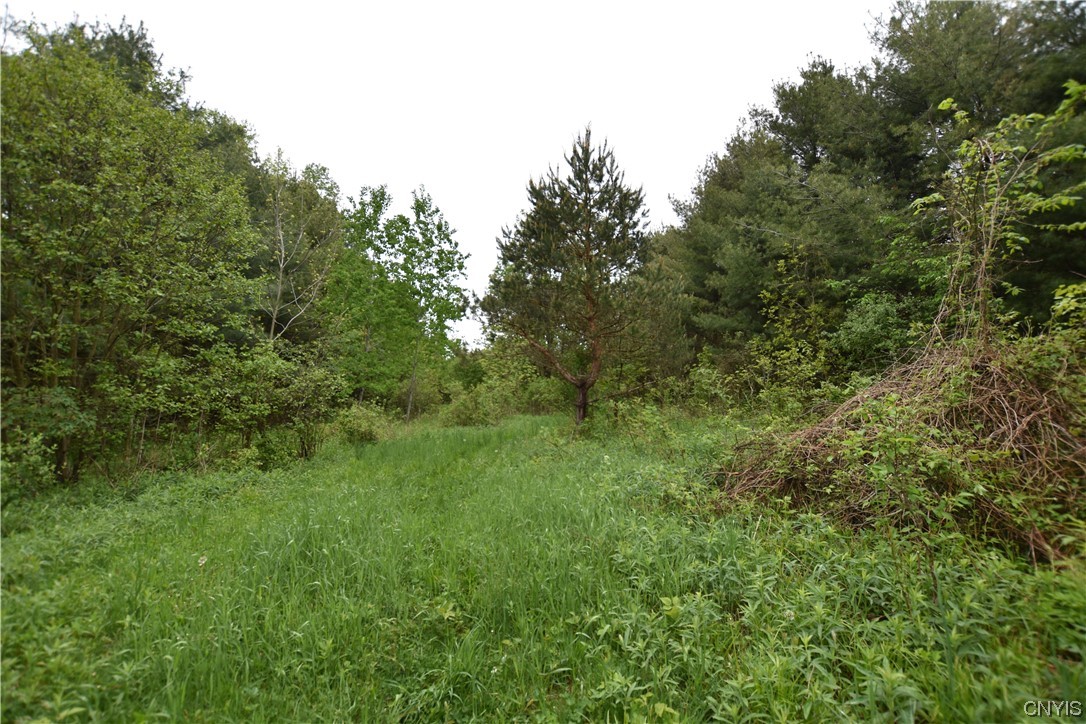 Undisclosed Address Lorraine, NY 13659 - Photo 7 of 31