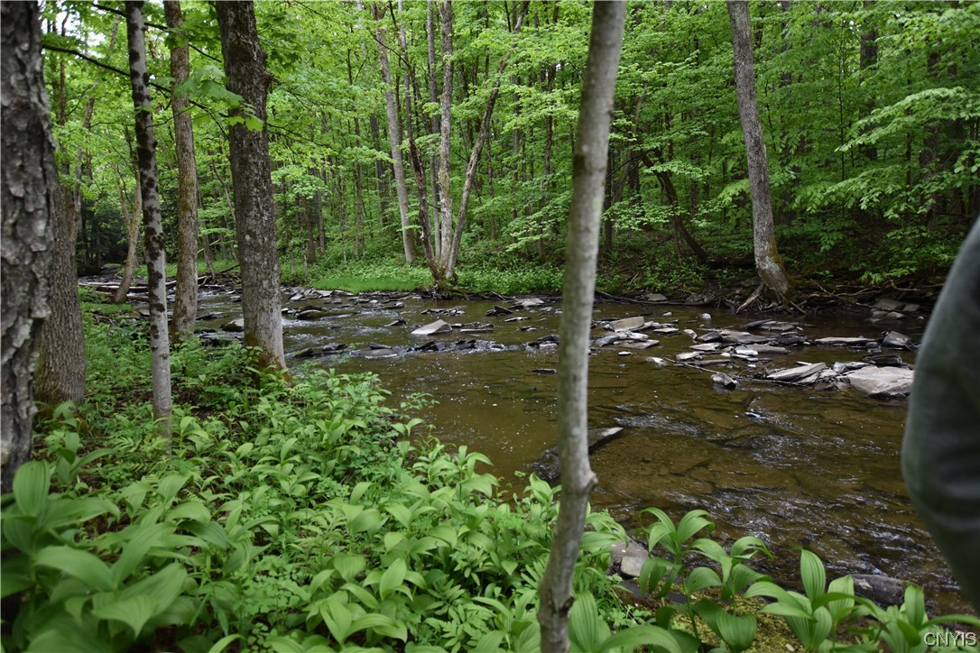 Undisclosed Address Lorraine, NY 13659 - Photo 8 of 31