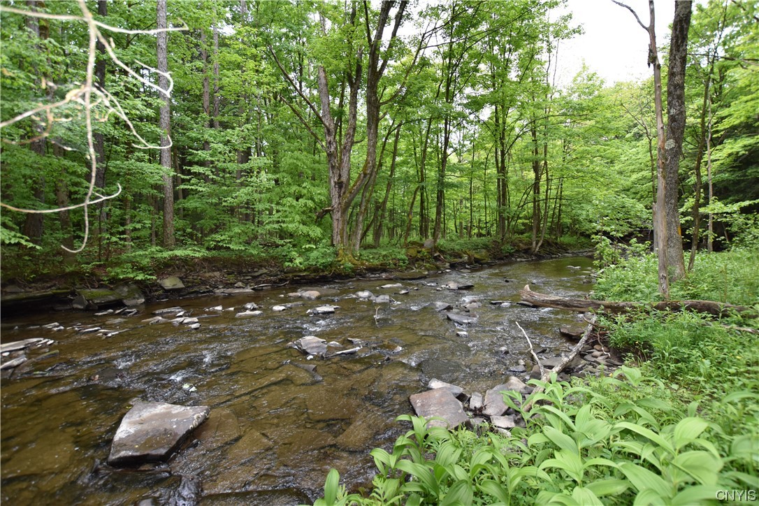 Undisclosed Address Lorraine, NY 13659 - Photo 10 of 31