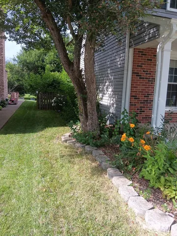a view of a yard with plants and large trees