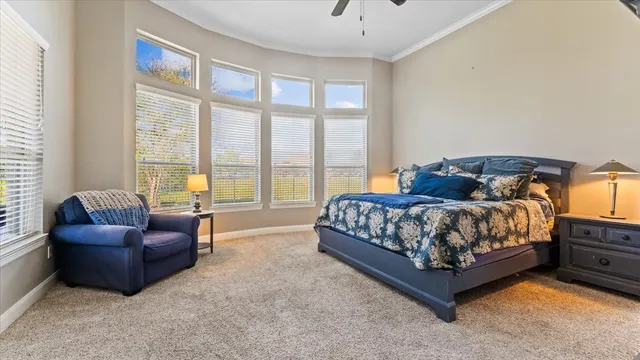 a bedroom with a bed couch and a large window