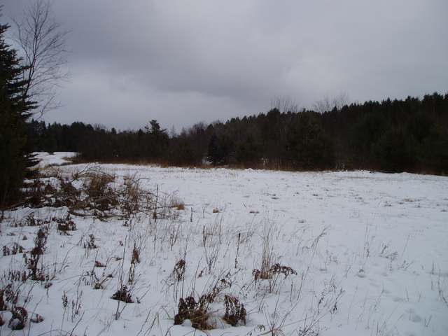 Lot 1 Spider Lake Road Rhinelander, WI 54501 - Photo 6 of 7 Gallery Image 6