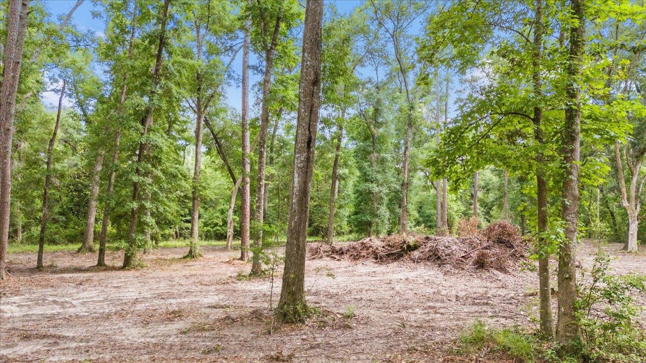 0 Gould Road Quincy, FL 32351 - Photo 6 of 25 Gallery Image 6