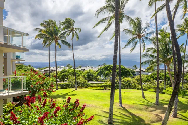 a view of an outdoor space yard and swimming pool