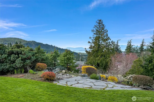 a view of a backyard with plants and a large tree