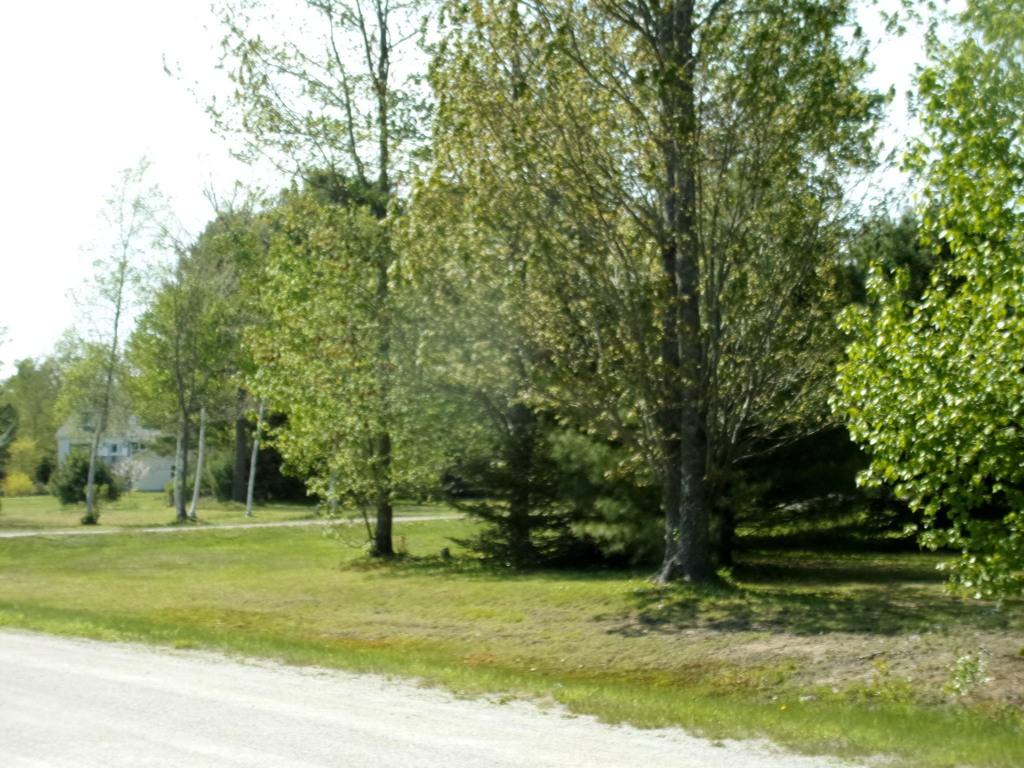 23 Heights Road Stockton Springs, ME 04981 - Photo 4 of 12 103_3358