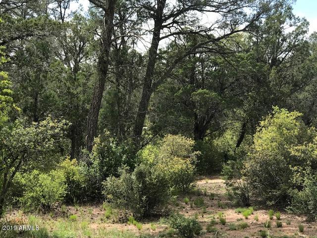 302 Pinon Road, Unit 11B Star Valley, AZ 85541 - Photo 3 of 4 IMG_2471