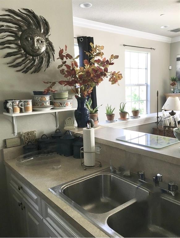 2663 Upper Park Road Orlando, FL 32814 - Photo 10 of 17 a close view of sink and tap