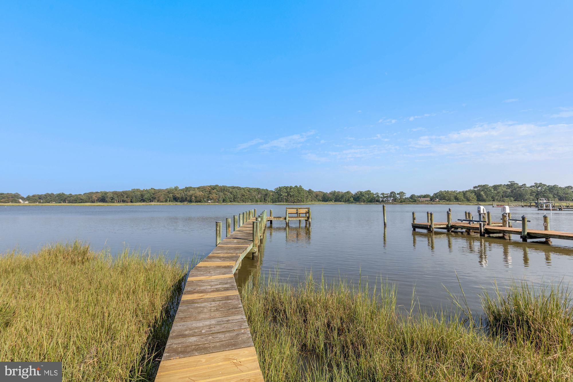 123 Riverview Drive Dagsboro, DE 19939 - Photo 3 of 55 Gorgeous Views of Vines Creek