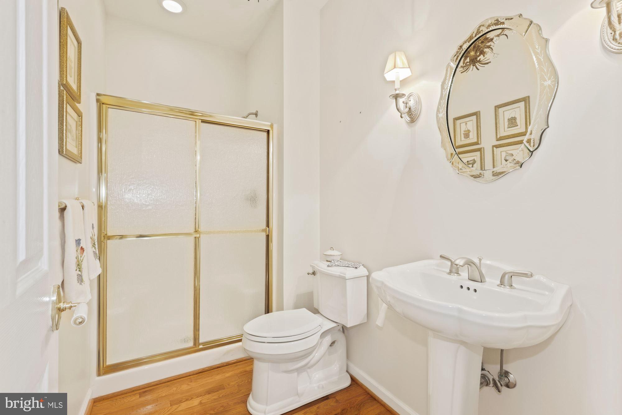 123 Riverview Drive Dagsboro, DE 19939 - Photo 34 of 55 Main Level Full Bath