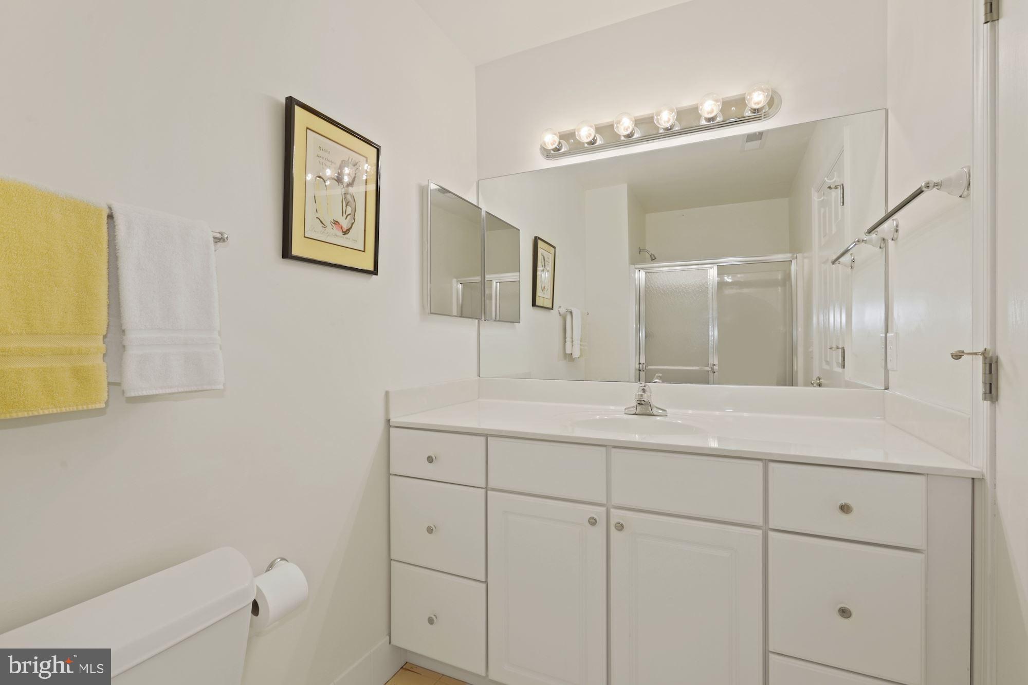 123 Riverview Drive Dagsboro, DE 19939 - Photo 40 of 55 En-Suite Bath