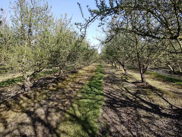 a view of a backyard with sitting area
