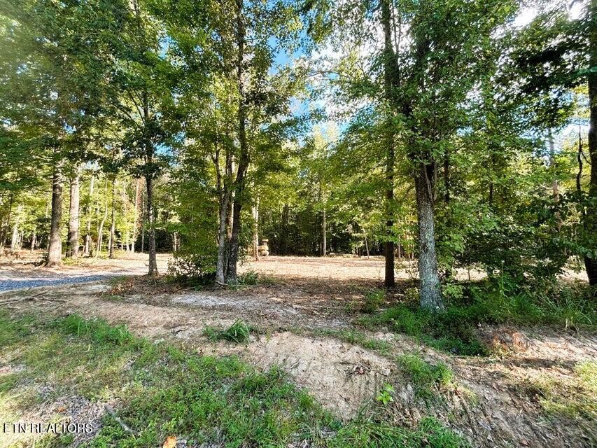 3 Pleasant Hill Road Ten Mile, TN 37880 - Photo 7 of 13