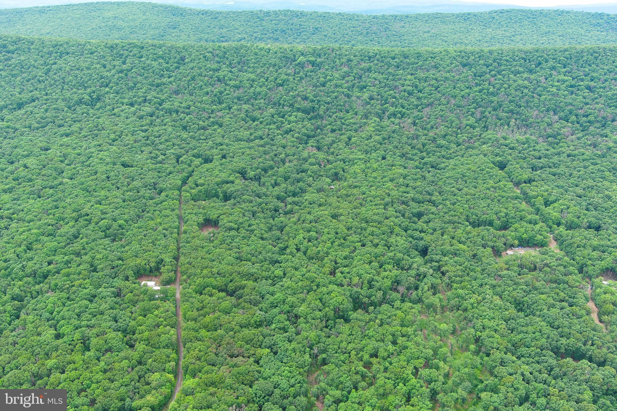 1419 Paul's Woods Road Delray, WV 26714 - Photo 89 of 105
