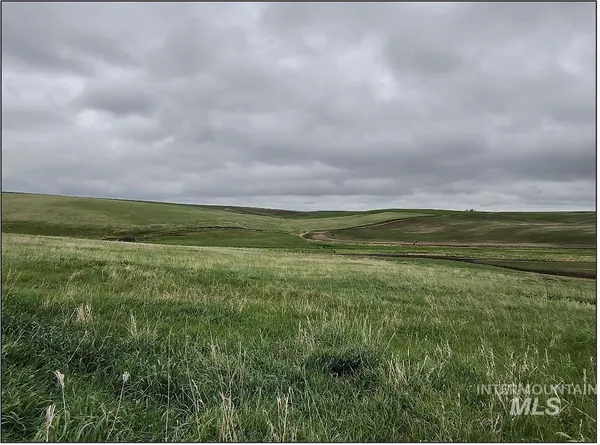 $550,000 | Tbd Tbd Meade Road, Nezperce, ID 83543