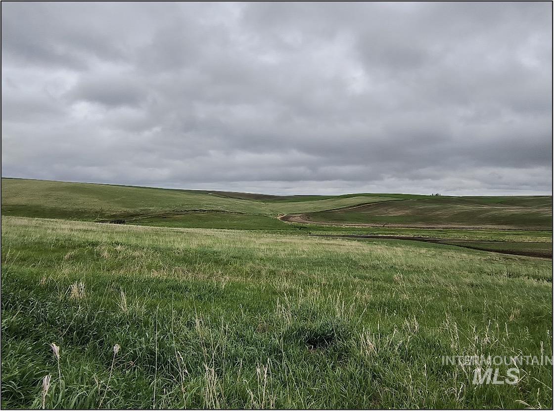 Tbd Tbd Meade Road Nezperce, ID 83543 - Photo 1 of 10