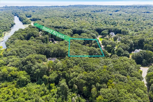 an aerial view of forest