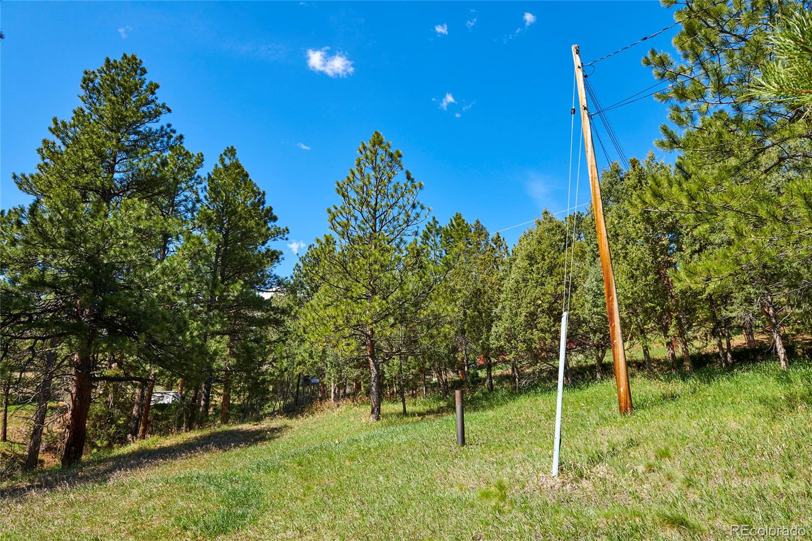 485 East Kelly Road Boulder, CO 80302 - Photo 7 of 10