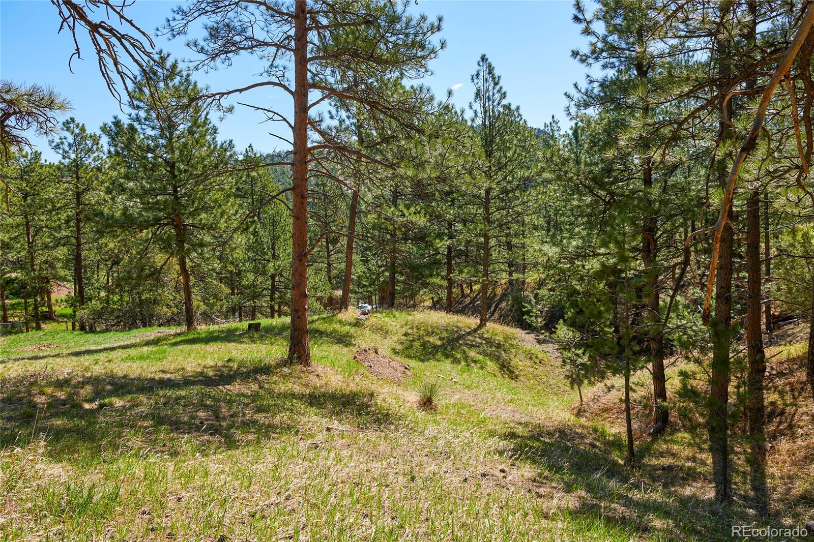 485 East Kelly Road Boulder, CO 80302 - Photo 10 of 10