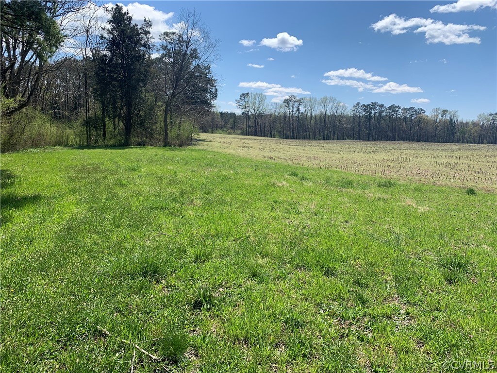 Tbd Spring Branch Road Waverly, VA 23890 - Photo 1 of 6 Gallery Image 1