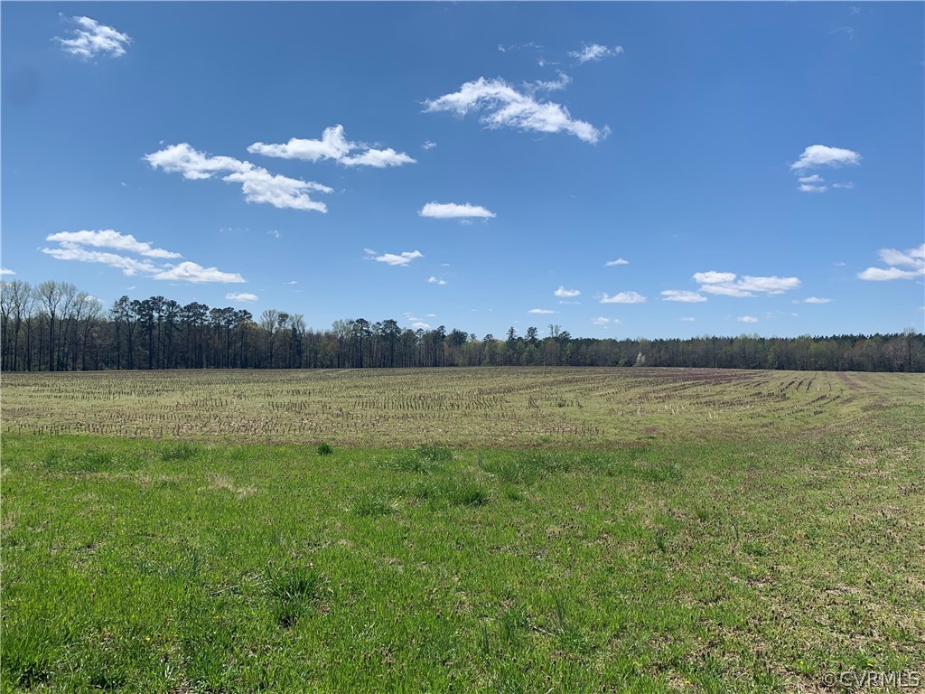Tbd Spring Branch Road Waverly, VA 23890 - Photo 2 of 6 Gallery Image 2