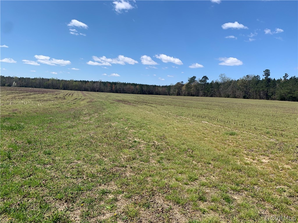 Tbd Spring Branch Road Waverly, VA 23890 - Photo 3 of 6 Gallery Image 3