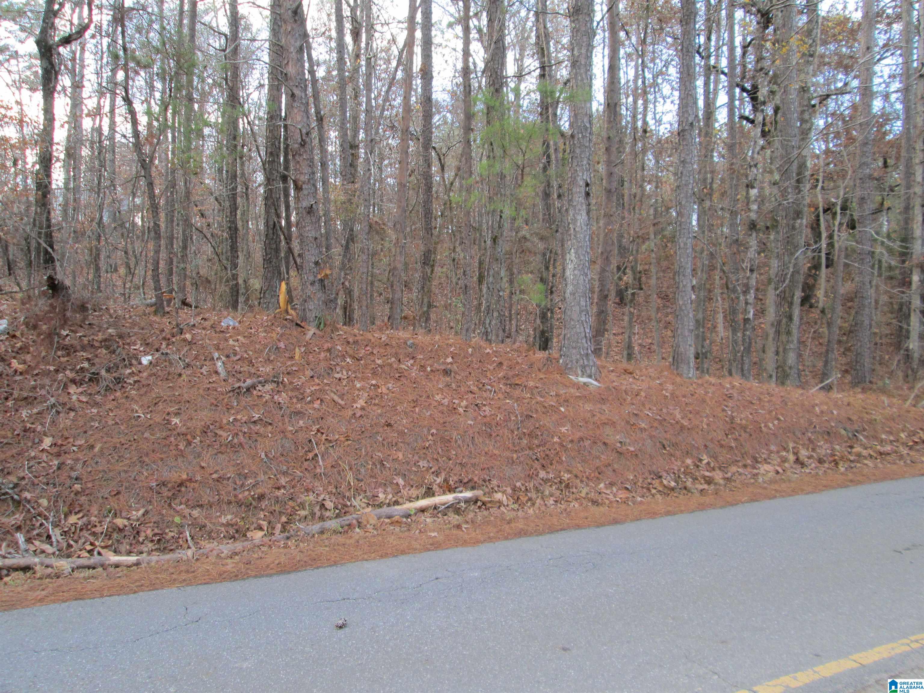 Parsons Drive, Unit 3 Vance, AL 35490 - Photo 5 of 6