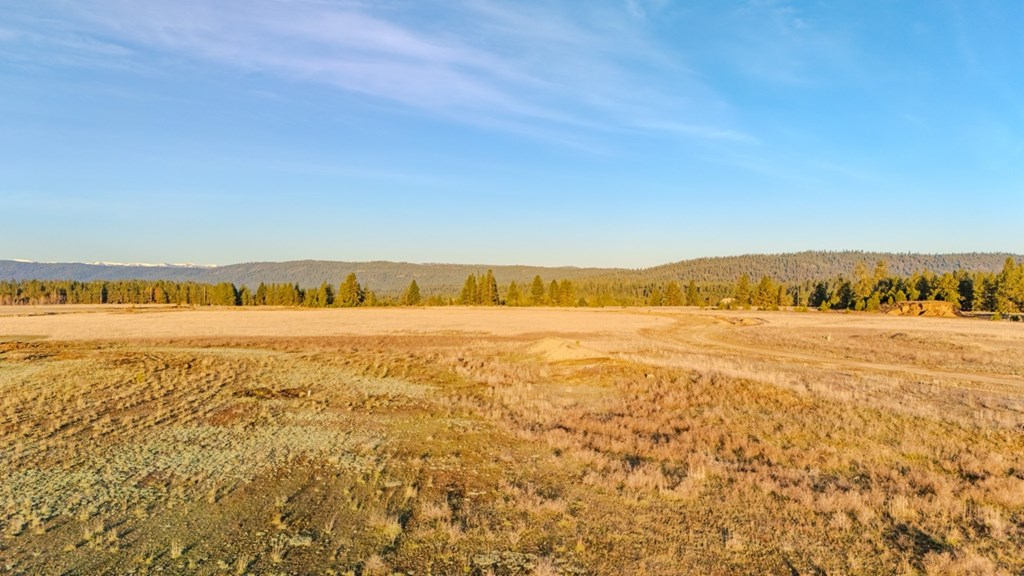 41 Rawhide Loop, Unit 41 McCall, ID 83638 - Photo 3 of 8