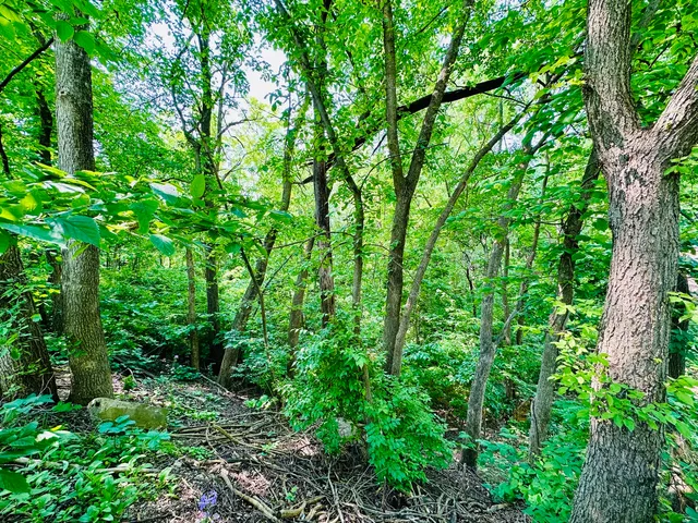 $9,000 | 309 Peru Street, Peru, IL 61354