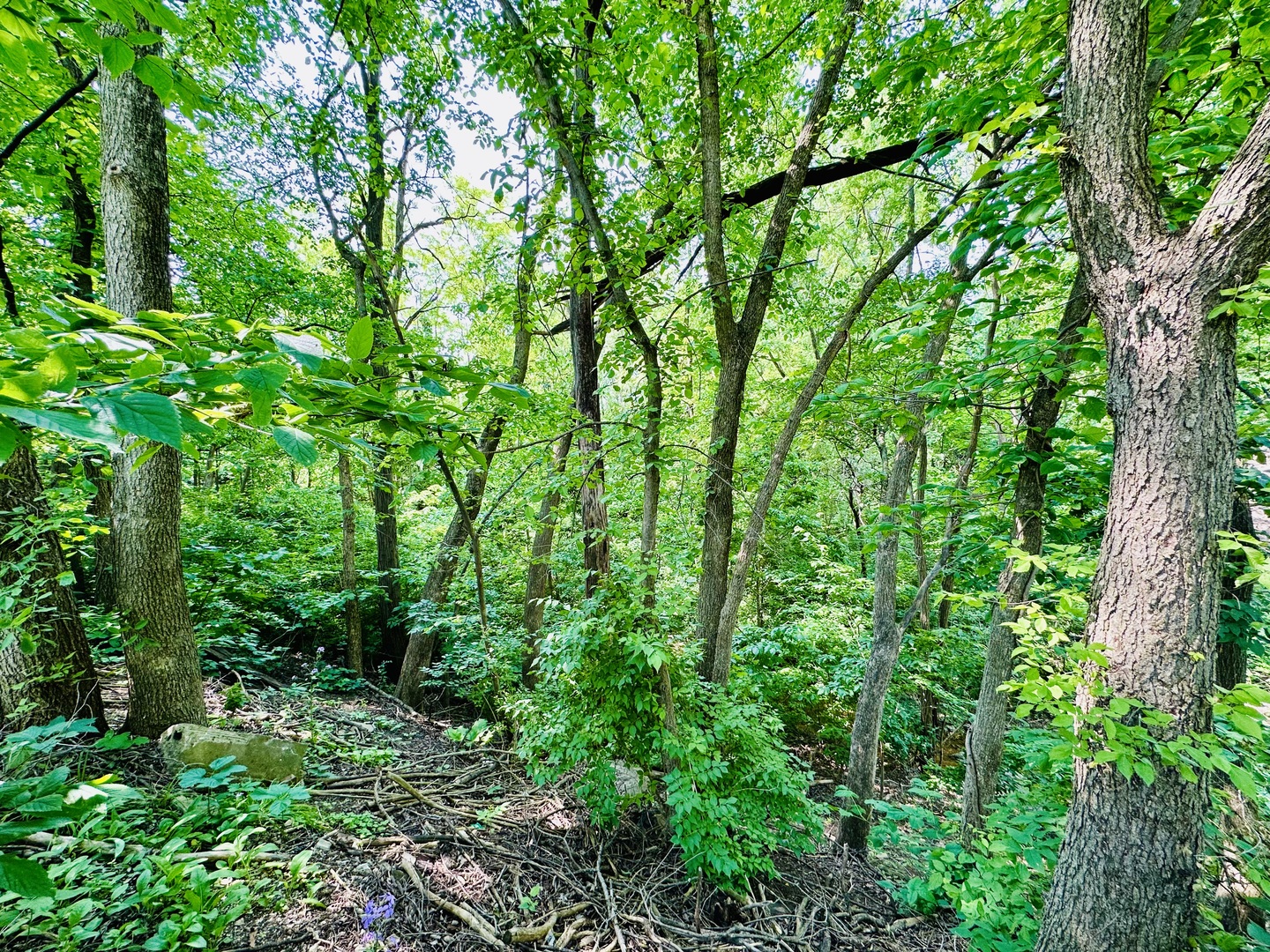 309 Peru Street Peru, IL 61354 - Photo 3 of 3