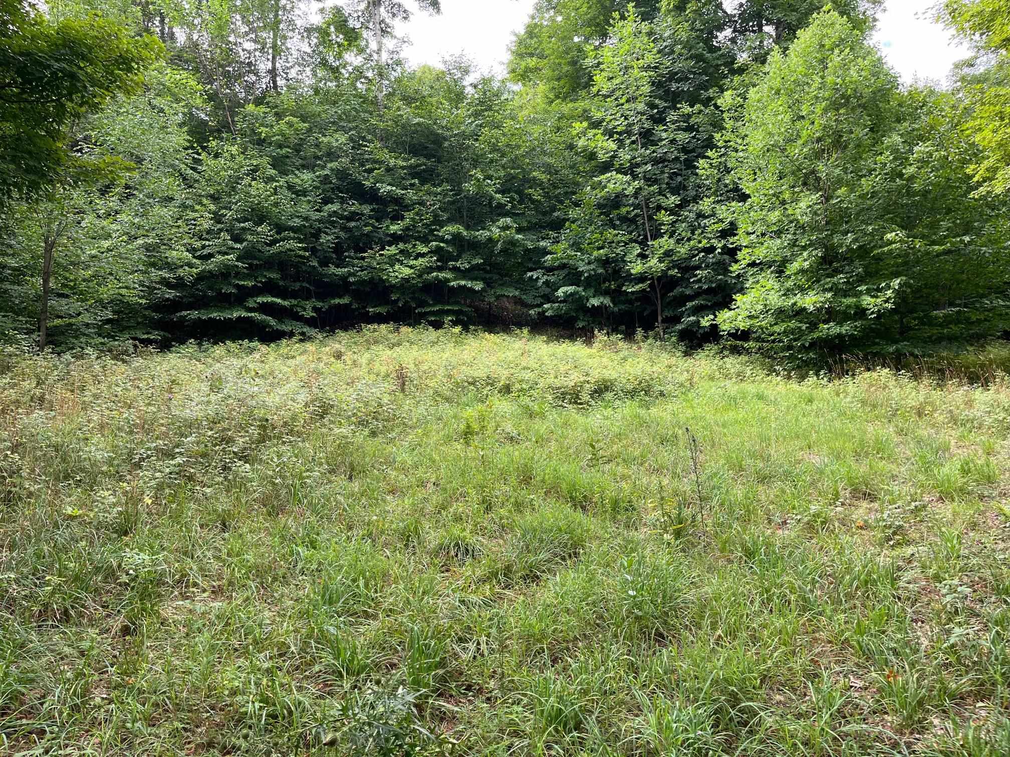 Lot 1 West Timberview Trail, Unit LOT: 1 Empire, MI 49630 - Photo 2 of 5