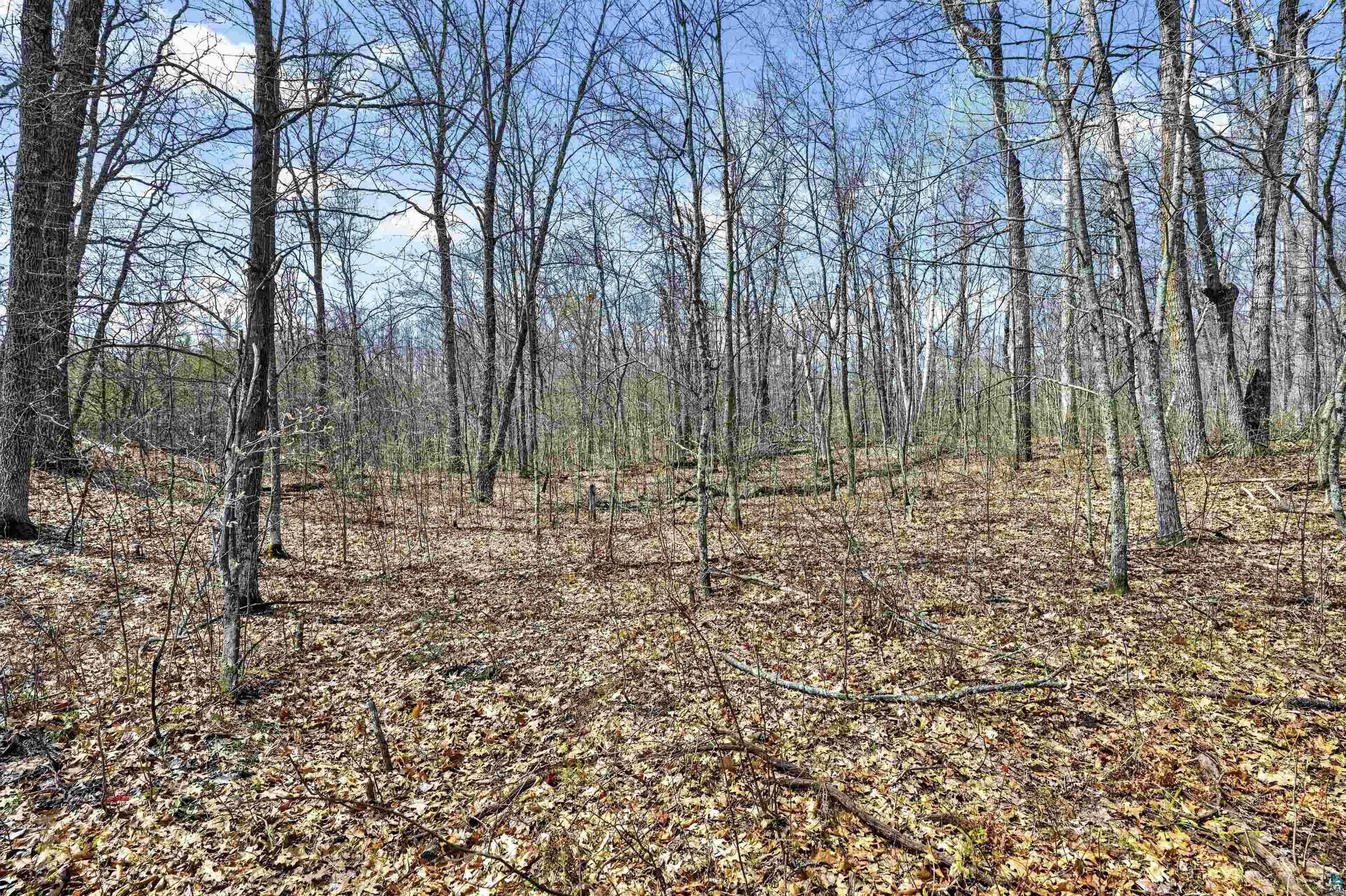 Lot 5-6 Peterson Road Minong, WI 54859 - Photo 12 of 12