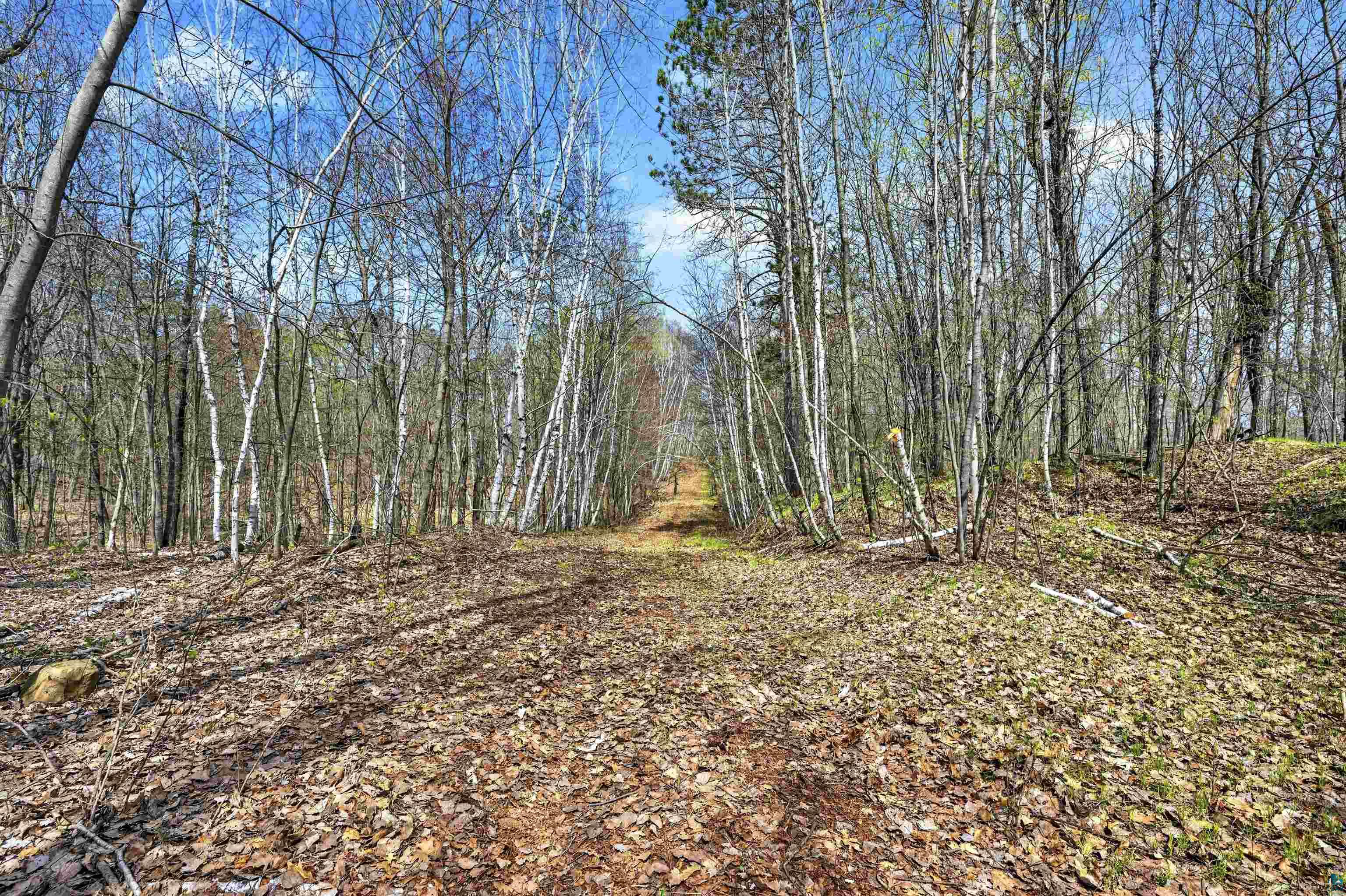 Lot 5-6 Peterson Road Minong, WI 54859 - Photo 7 of 12