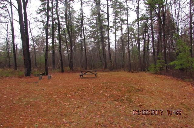 76 Northeast Road Waterboro, ME 04087 - Photo 25 of 28 Large back yard. Very private setting.