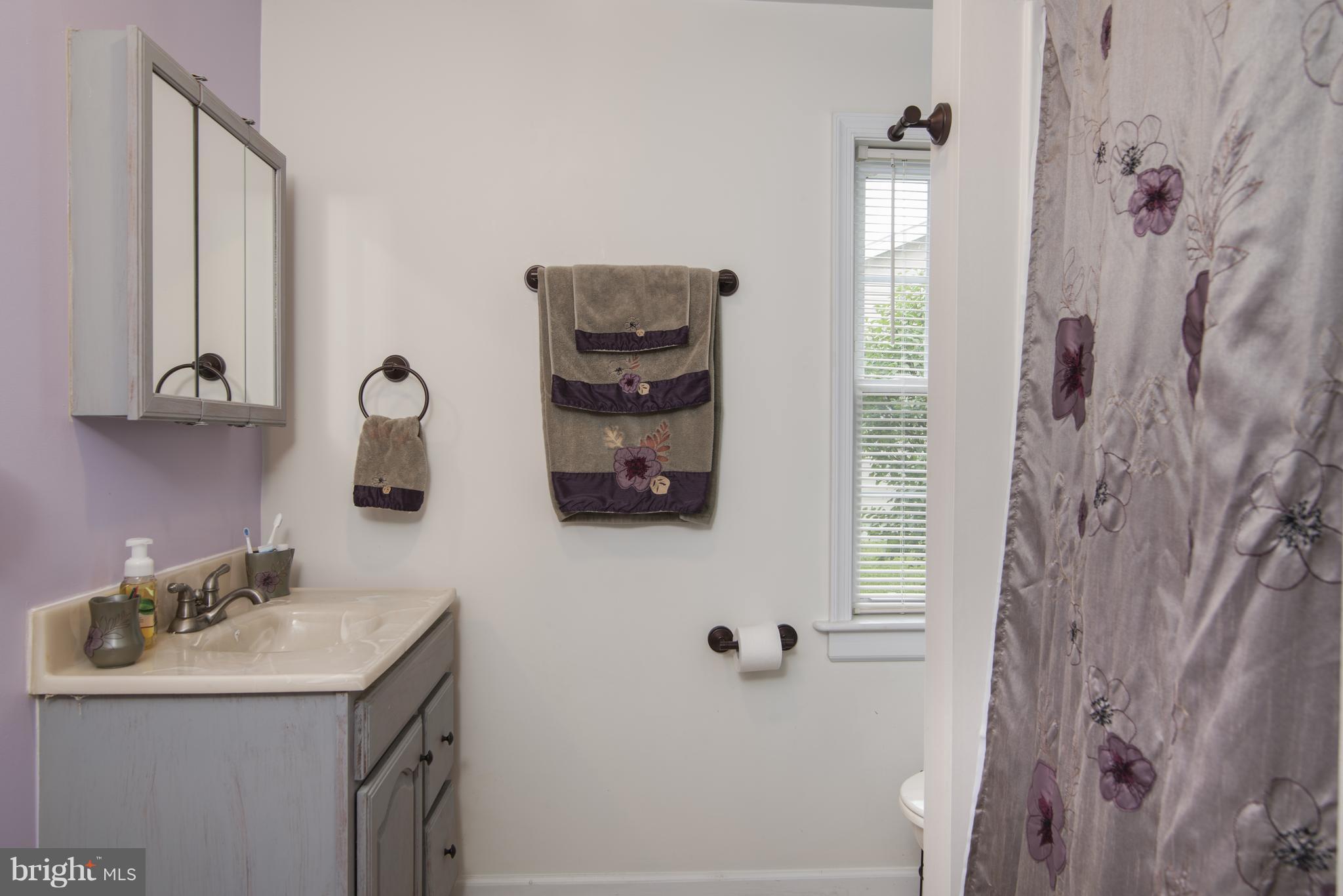 11306 Sword Road Williamsport, MD 21795 - Photo 13 of 30 a bathroom with a sink and a mirror