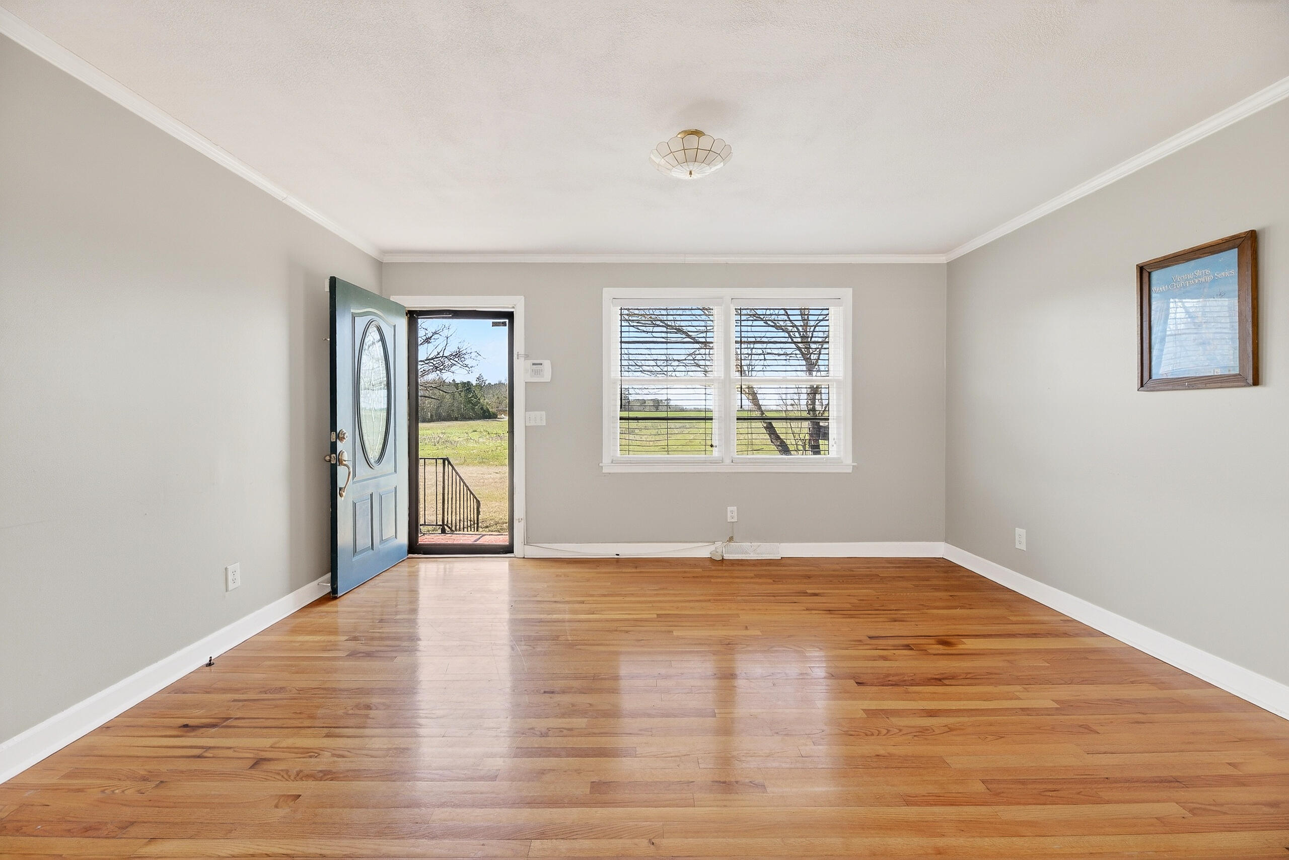 4871 Slab Landing Road Cope, SC 29038 - Photo 3 of 38 IMG_2753