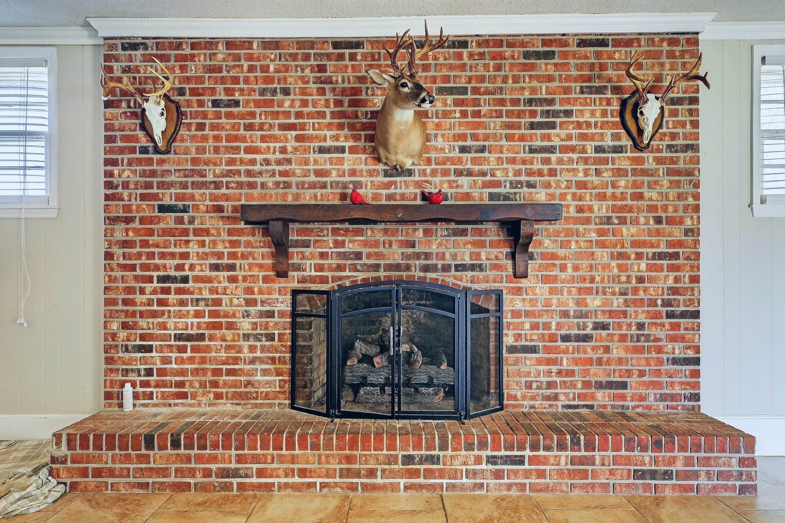 4871 Slab Landing Road Cope, SC 29038 - Photo 8 of 38 Fireplace