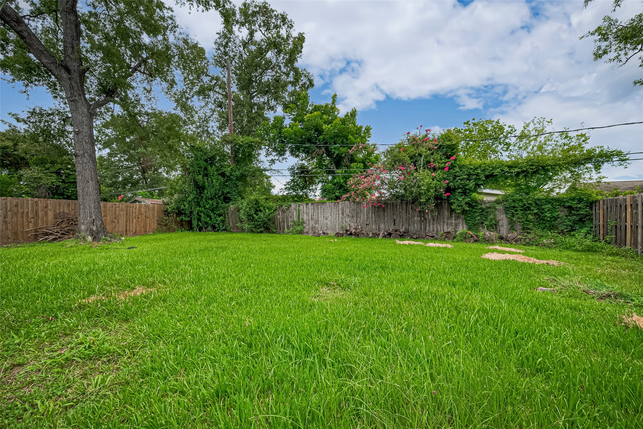 13351 Oak Leaf Lane Houston, TX 77015 - Photo 27 of 27 a view of yard with grass and trees