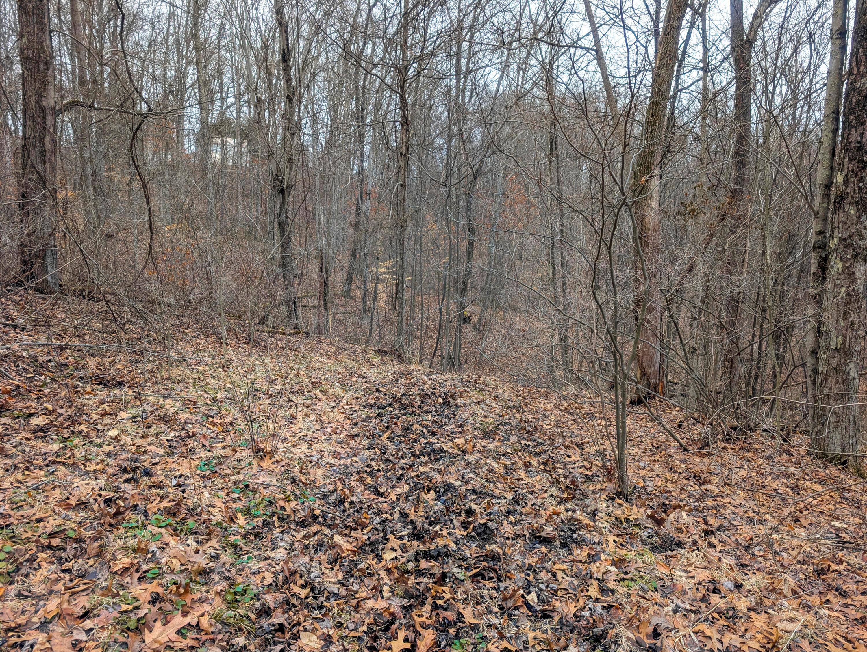 8 Barber Ridge Road Lewisville, OH 43754 - Photo 23 of 33 Tract 8_TD-15