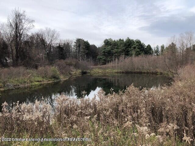 0 Skinner Highway Dimondale, MI 48821 - Photo 2 of 5 Pond View